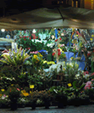 paris florist night