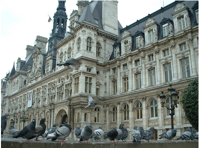 hotel de ville